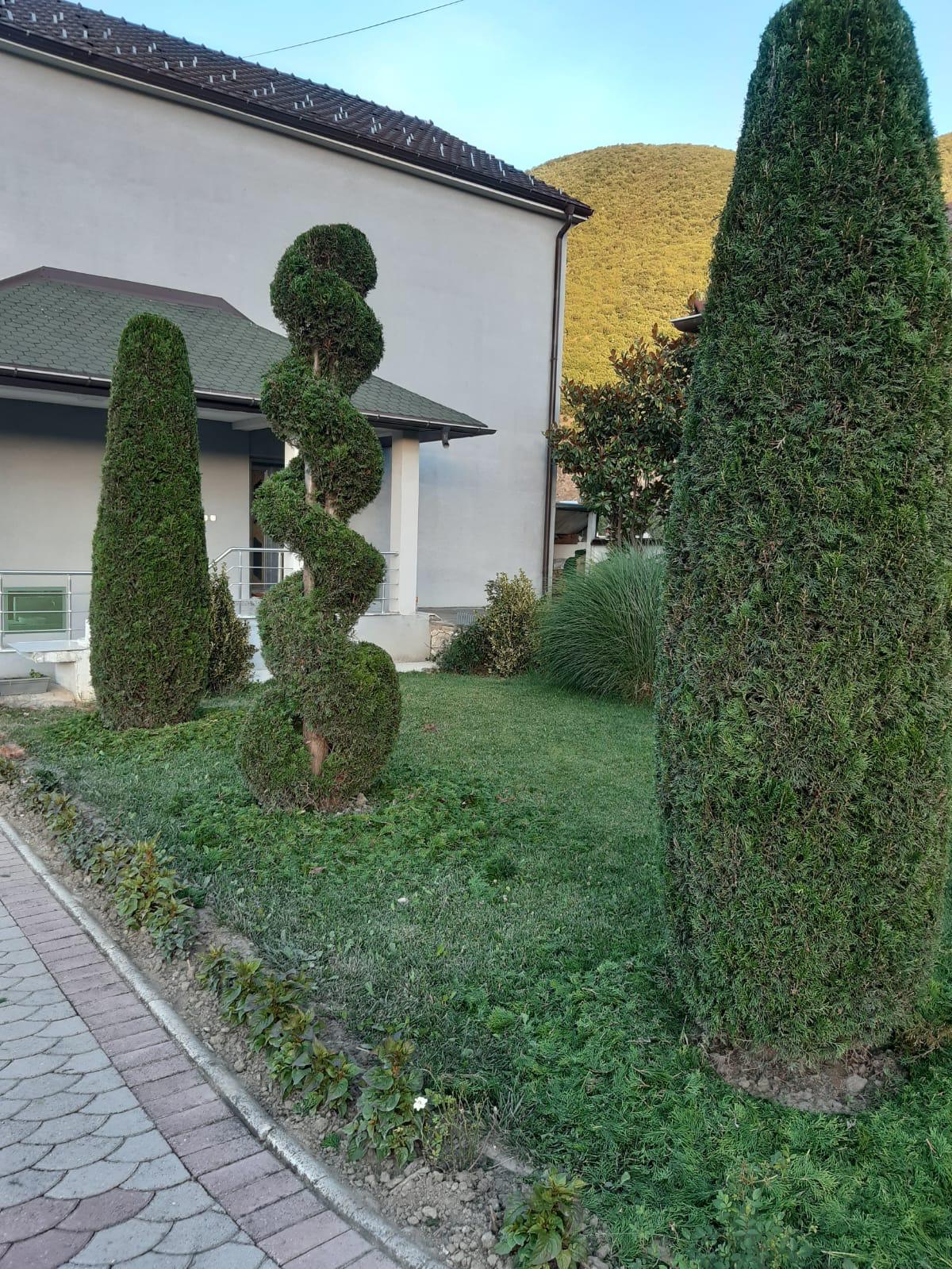 Formgehölze und gepflegter Garten